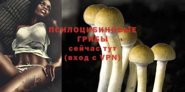 героин Гусь-Хрустальный