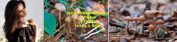 бутират Дмитровск