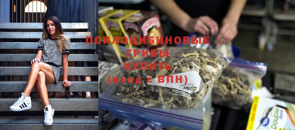 тгк Тавда