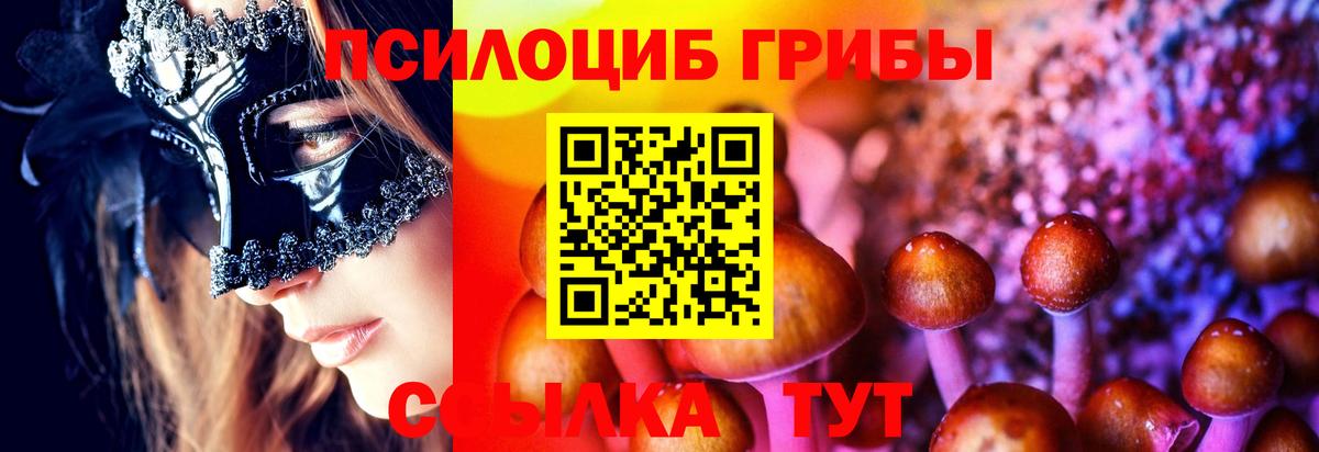 Карпинск  где купить наркотик  Вход с VPN  Псилоцибиновые грибы Cubensis 
